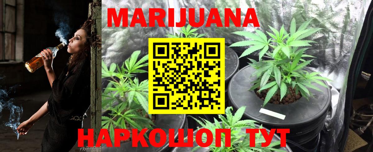 Канабис ГИДРОПОН  Шишки марихуана ГИДРОПОН  Сунжа  Канабис White Widow  Вход с VPN  Конопля сатива 